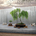 Dwarf Australian Weeping Willow Bonsai Cutting – Live Tree Starter, Fast Growing Salix Hybrid, Indoor Outdoor Bonsai, Bare Root