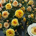 St. Tropez Floribunda Rose Live Bush Plant | 3 Gallon Flowering Shrub