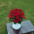 Breakaway Red Zonal Geranium Seeds – 5 Heat Tolerant Annuals for Hanging Baskets & Patio