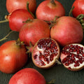 Wonderful Pomegranate Tree – Punica granatum Live 3 Ft Potted Fruit Tree