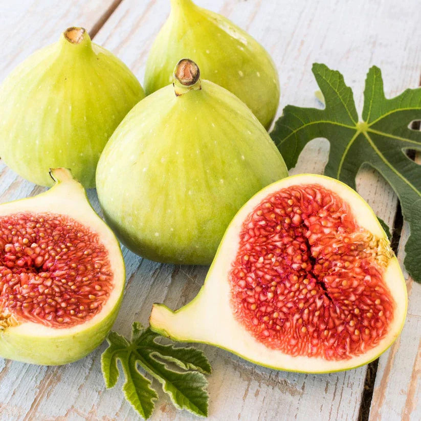 Desert King Fig Cuttings (Ficus carica) - 2 Unrooted 6-8" Cold Hardy Green Fig with Sweet Red Flesh