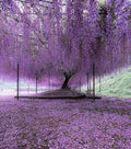 10 Purple Wisteria Cuttings Unrooted | Hardy Fast-Growing Flowering Vine for Trellis & Pergola