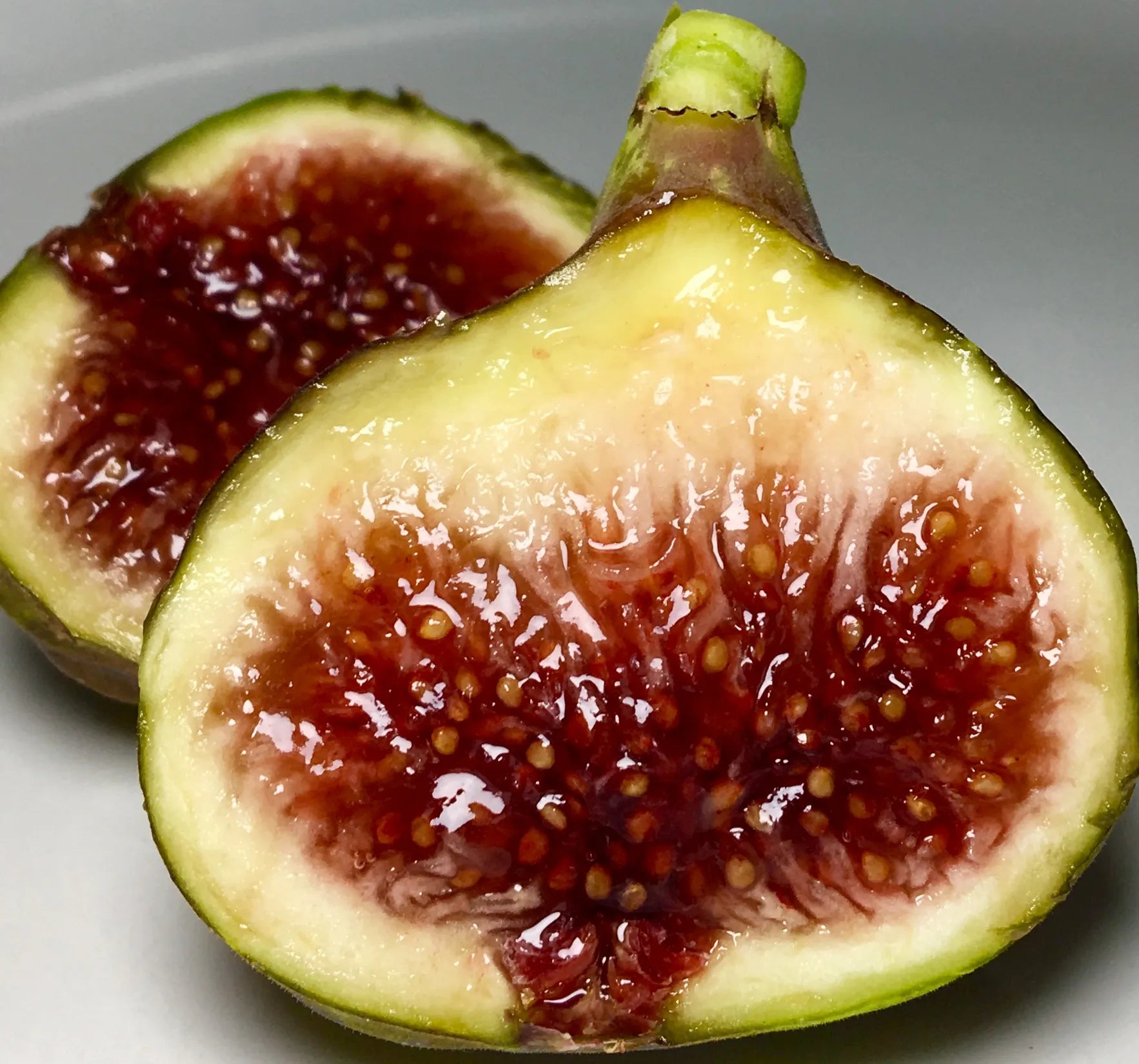 Unrooted Fig Cuttings – 6-8 Inch Smith Heirloom Variety for Propagation, Organic, Sweet, Louisiana Ficus