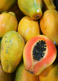 Sunset Solo Papaya (Carica papaya)