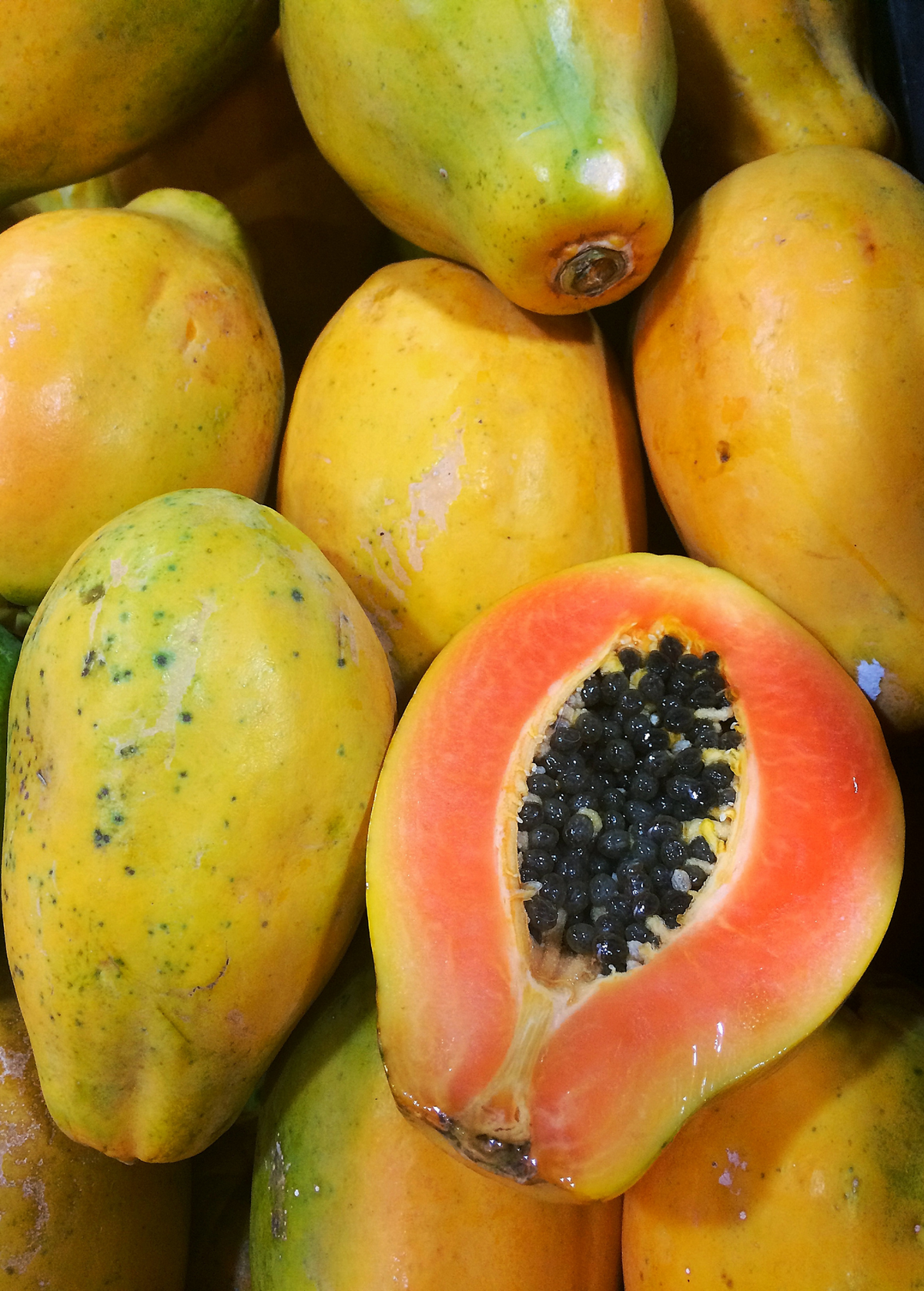 Sunset Solo Papaya (Carica papaya)
