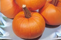 Small Sugar Pumpkin Seeds – Heirloom Baking Variety for Pies & Fall Decor – Cucurbita pepo, Compact Vines, 5 Seeds