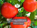 100 Floridade Tomato Seeds – Heirloom, Heat-Tolerant, Determinate, Slicing Tomato, Lycopersicon esculentum, Non-GMO