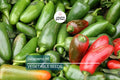 Jalapeno M Pepper Seeds – Non-GMO Heirloom, Medium Heat 5,000 SHU, High Yield, 2-6" Peppers, for Salsas & Fresh Use