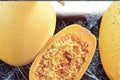 Spaghetti Winter Squash Seeds Heirloom Cucurbita pepo, 1g, Pasta-like Flesh, Golden Yellow