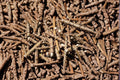 Cassava Cuttings Assorted Sizes - Manihot esculenta Tropical Perennial Shrub for Planting