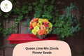 100+ Queen Lime Mix Zinnia Seeds – Red, Peach & Green Blooms, Zinnia elegans, Garden Bed & Cut Flower Annual