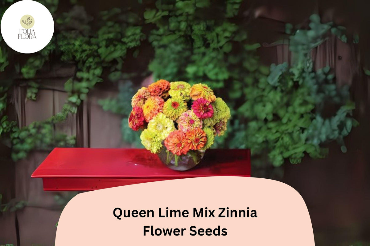 100+ Queen Lime Mix Zinnia Seeds – Red, Peach & Green Blooms, Zinnia elegans, Garden Bed & Cut Flower Annual