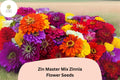 Zinnia Seeds Heirloom Non-GMO Mix | Bright Colorful Blooms | Zinnia elegans | Annual Flower Seeds