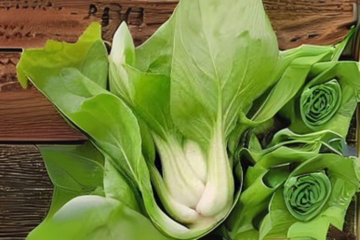 Pak Choi White Stem Seeds – Brassica rapa var. chinensis – Chinese Cabbage for Stir-Fries, Salads, and Soups – 400 Seeds