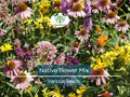 1000 Seeds Native Wildflower & Milkweed Mix for Monarchs, Non-GMO, Butterfly & Pollinator Garden, Asclepias & Wildflowers