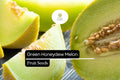 Green Honeydew Melon Seeds - Cucumis melo, Sweet Juicy Heirloom Fruit for Summer Desserts & Fruit Salads