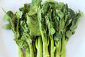 Wan Shen Kailan Seeds – Chinese Broccoli for Stir Fry, Brassica oleracea var. alboglabra, 150 Premium Heirloom Seeds