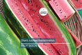Giant Jubilee Watermelon Seeds – Heirloom, Non-GMO, Large 25-40 lb Fruits, Sweet Red Flesh, High Yield, Garden Seeds, Citrullus lanatus