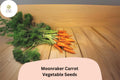 1000+ Moonraker Carrot Seeds – Sweet, Crisp, White Heirloom Carrots