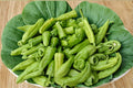 Cubanelle Sweet Pepper Seeds – Italian Frying Pepper, Mild & Sweet, Thin-Walled, Capsicum annuum, 25 Seeds