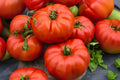 Tomato Beefsteak Seeds – Heirloom Large Slicing Tomato, Juicy, Old-Fashioned Flavor, Indeterminate, Solanum lycopersicum
