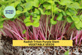 3pcs Radish Triton Purple Stem Seeds – Heirloom Raphanus sativus for Fast Harvest, Salad & Microgreens, Container & Garden Planting