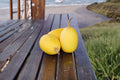 Spaghetti Squash Seeds – Vegetable, Non-GMO, Cucurbita pepo, Winter Harvest, Versatile, Full Sun, 10 Seeds