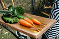 Carrot Seeds – Chantenay Red Cored Heirloom Root Vegetable – Daucus carota subsp. sativus, Heavy Soil Friendly, Sweet & Stocky Roots