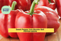 3pcs Yolo Wonder Bell Pepper Seeds – Sweet Green to Red, Capsicum annuum, for Containers & Gardens