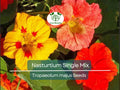 25 Seeds Nasturtium Single Mix Climbing Vine Red Flowers Fragrant Edible Pollinator Attracts Hummingbirds Non-GMO