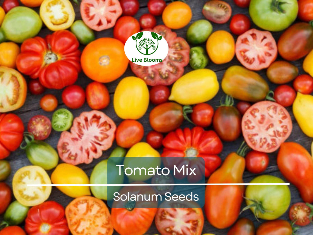 100 Heirloom Tomato Seeds Mix – Colorful Open-Pollinated Lycopersicon esculentum, Non-GMO, Slicing & Cherry Varieties