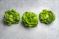 Bibb Butterhead Lettuce Seeds – Heirloom, Soft & Sweet Leaves, 700 Seeds for Salad Gardens, Containers, Cool-Season Growing