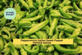 3pcs Italian Pepperoncini Sweet Pepper Seeds – Heirloom Capsicum annuum for Pickling, Salads & Garden Growing