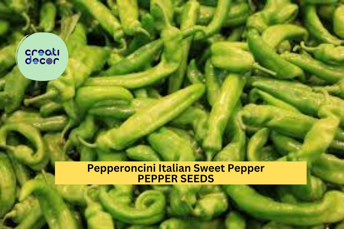 3pcs Italian Pepperoncini Sweet Pepper Seeds – Heirloom Capsicum annuum for Pickling, Salads & Garden Growing