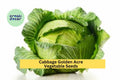 3pcs x 1g Golden Acre Cabbage Seeds – Heirloom Green Brassica oleracea for Garden Beds, Containers, Raised Rows