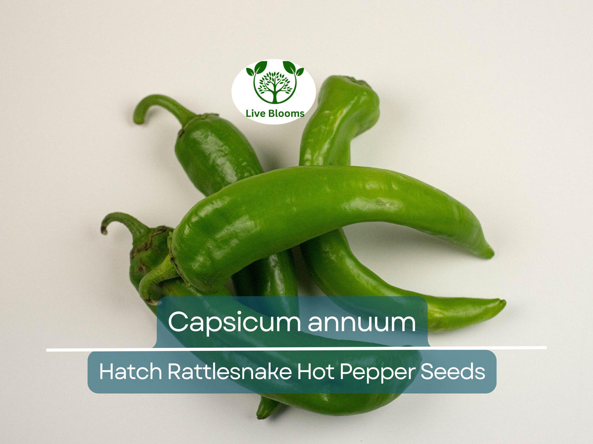 Hatch Rattlesnake Hot Pepper Seeds – Capsicum annuum, Heirloom Chili for Gardening, Spicy Salsas & Cooking