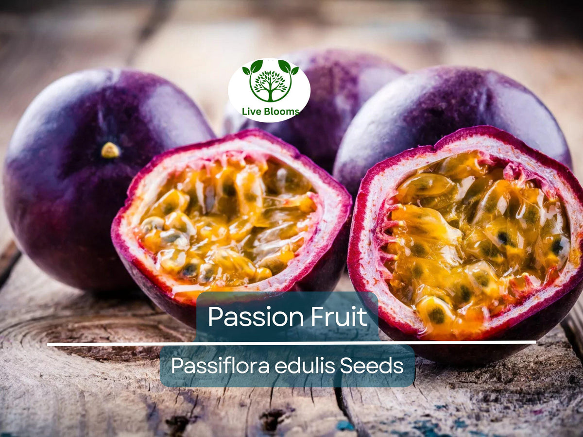Purple Edulis Passion Fruit Seeds – Edible Tropical Vine for Garden, Foliage & Fruit, Passiflora edulis, Fast Growing, High Yield