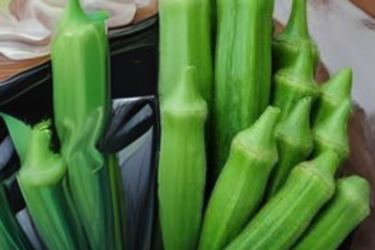 Okra Seeds Clemson Spineless Heirloom Green Pods 85 Pack Abelmoschus esculentus Garden Plant
