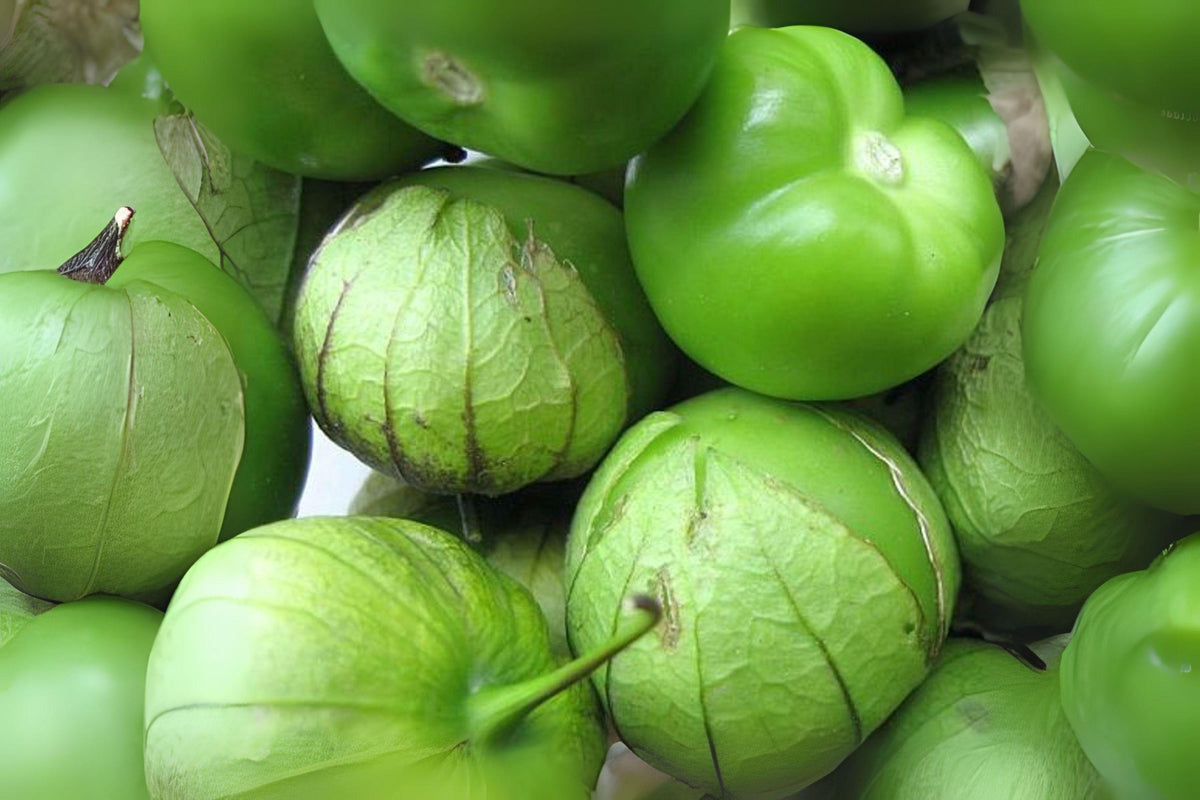 Tomatillo Verde Seeds 100mg | Heirloom Physalis philadelphica for Salsa & Cooking | Green Vegetable Seed