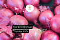 200 Seeds Red Creole Onion Allium cepa Heirloom, Deep Red, Flavorful, Long Shelf Life, Cooking & Storage