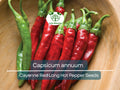 Hot Cayenne Red Long Pepper Seeds – Capsicum annuum, Spicy Culinary & Garden Planting, Heirloom Hot Pepper Seeds
