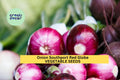 3pcs Southport Red Globe Onion Seeds – Heirloom Deep Red Bulbs for Planting – Allium cepa Storage Onion Seeds