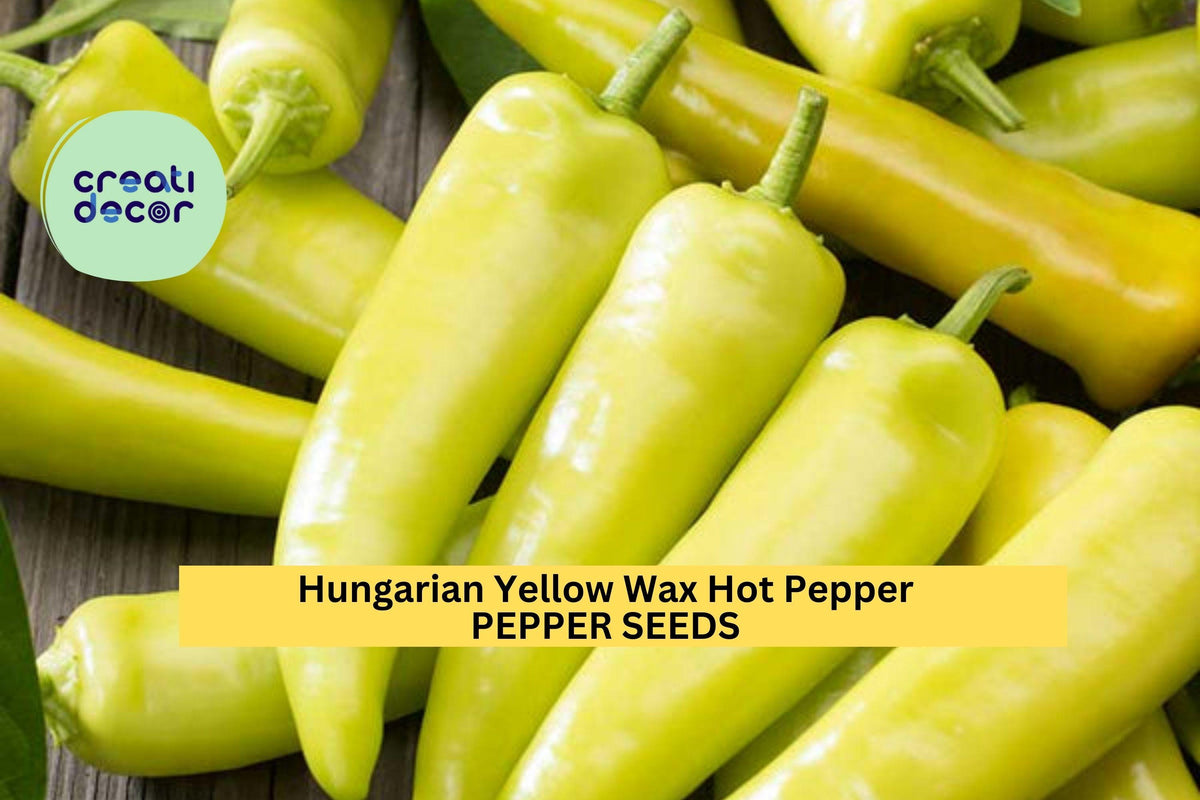 3pcs Hungarian Yellow Wax Hot Pepper Seeds – Medium Heat, Banana-Shaped Fruits, Capsicum annuum for Pickling, Frying & Garden Growing
