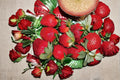 Honeoye Strawberry Plants - 20 Bare Root Fragaria × ananassa Fruit Plants for Garden, Container, Small Farm