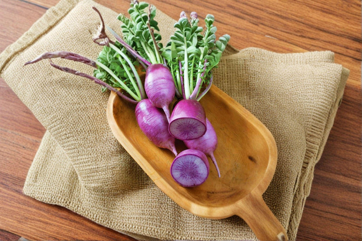 Radish Seeds – Triton Purple Stem, Fast-Growing, Mild Roots, Edible Purple Stems, Raphanus sativus