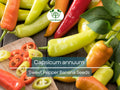 Sweet Pepper Seeds | Banana (Capsicum annuum) | Mild, Fruity Yellow Peppers for Salads, Salsas & Pickling | 30 Seeds