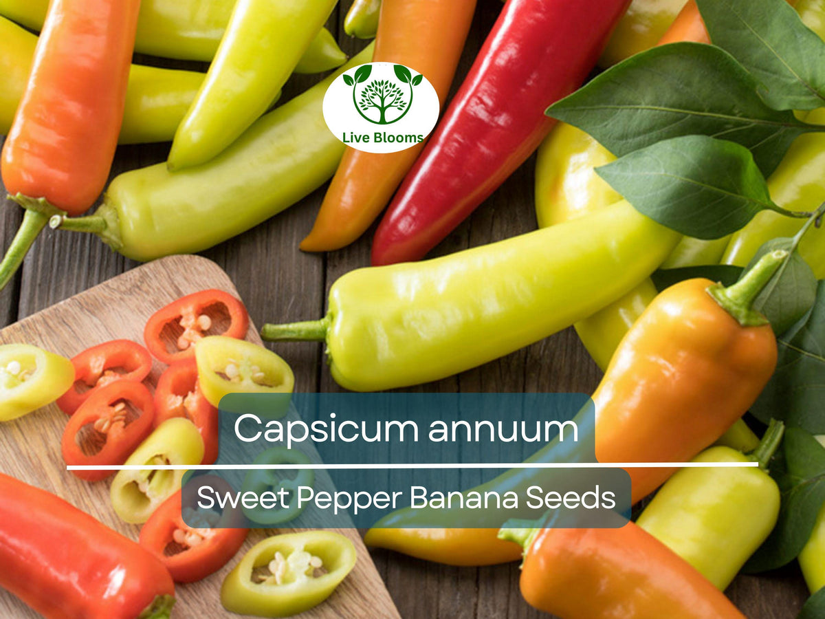 Sweet Pepper Seeds | Banana (Capsicum annuum) | Mild, Fruity Yellow Peppers for Salads, Salsas & Pickling | 30 Seeds