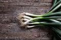Evergreen Bunching Onion Seeds – Allium fistulosum Non-Bulbing Green Onion, Cold Hardy, Fresh Vegetable Seeds for Home Garden