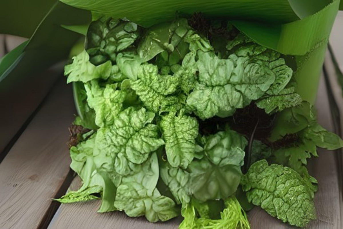 Bloomsdale Long Standing Spinach Seeds - Heirloom Leafy Green for Home Garden, Dark Green Crinkled Leaves, Slow-Bolting, 1 Gram