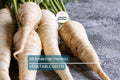 All American Parsnip Seeds – Heirloom, Non-GMO, Sweet Nutty Flavor, 10-12” Roots, Cold-Hardy Vegetable for Winter Harvest